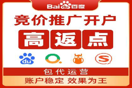 竞价托管实战案例：优化广告投放策略